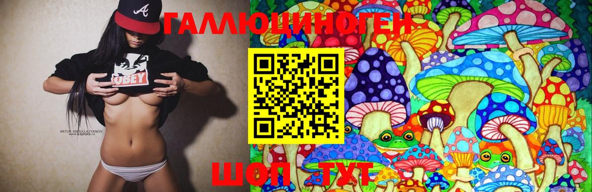 Александров  Галлюциногенные грибы MAGIC MUSHROOMS  Вход с VPN 
